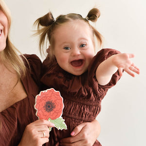 Poppy Big Attachment