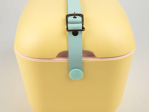 Polarbox Cooler | Yellow - Cyan Pop