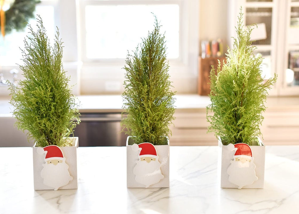 Ho Ho Santa Mini Attachment