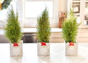 Ho Ho Santa Mini Attachment