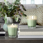 NEST Wild Mint & Eucalyptus Classic Candle